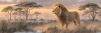 Majestätischer Löwe In Der Savanne Beim Sonnenuntergang | Safari und Wildtiere | Tiere