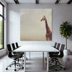Giraffe In Einer Weiten Offenen Landschaft Mit Hazy Skylight