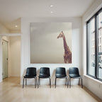 Giraffe In Einer Weiten Offenen Landschaft Mit Hazy Skylight