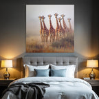 Giraffen Im Natur Mit Hintergrund Ansicht