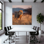Lion Im Graslandschaft Bei Sonnenuntergang Sonnenaufgang