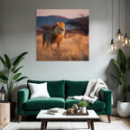 Lion Im Graslandschaft Bei Sonnenuntergang Sonnenaufgang