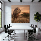 Lion Im Licht Der Sonnenuntergangs