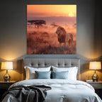 Majestätischer Löwe Stehend Im Grasigen Landscape Bei Sunset