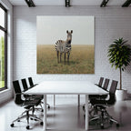 Zebra Im Grasigen Landscape