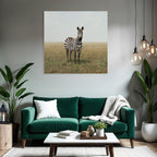 Zebra Im Grasigen Landscape