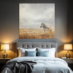 Zebra In Offenem Landschaft Mit Wolkigem Himmel
