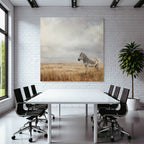 Zebra In Offenem Landschaft Mit Wolkigem Himmel