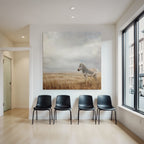 Zebra In Offenem Landschaft Mit Wolkigem Himmel