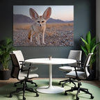 Fennecfuchs In Der Wüste Mit Grossen Ohren