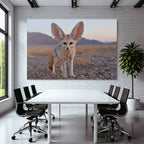 Fennecfuchs In Der Wüste Mit Grossen Ohren