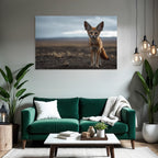 Fennekkunst Fuchs Grosse Ohren Sandfarbe Nordafrika