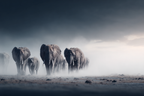 Herde Von Elephanten Im Nebligen Landscape | Safari und Wildtiere | Tiere
