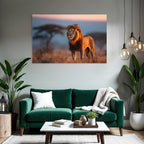 Lion Im Afrikanischen Savanne Bei Sonnenuntergang