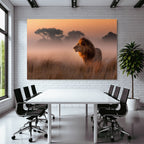 Lion Im Profil Im Feld Bei Sonnenaufgang Oder Sonnenuntergang
