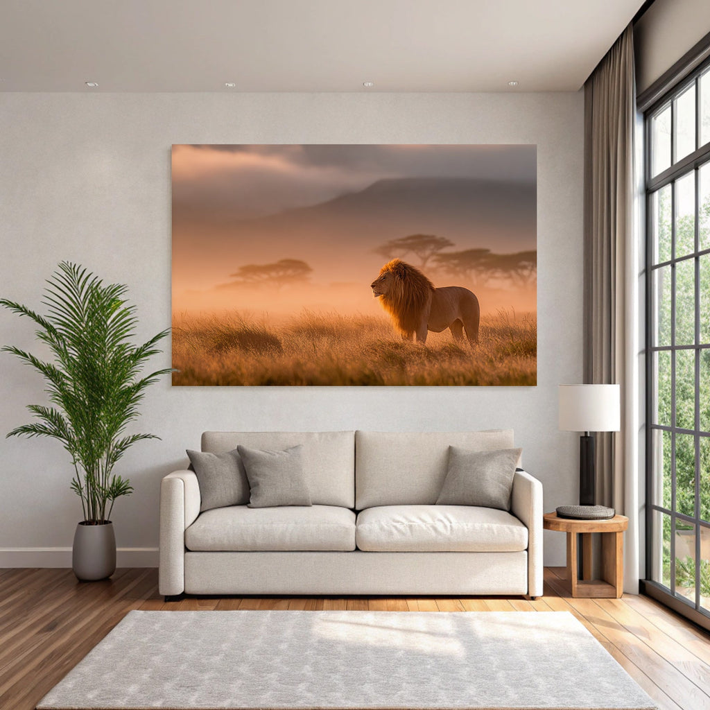 Lion In Einer Ruhigen Misty Landscape Bei Sonnenaufgang Oder Sunset