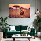 Lion In Grassy Landscape During Sunset Mit Baum Silhoütte