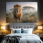 Lion In Natur Setting Mit Hohem Gras Und Nebel Hintergrund