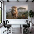 Lion In Natur Setting Mit Hohem Gras Und Nebel Hintergrund