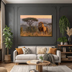 Majestic Lion Sunset In Tall Grass Savanna Landscape