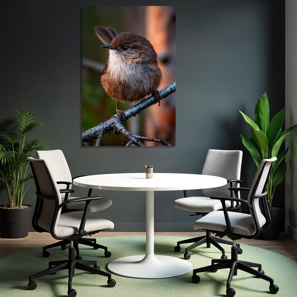 Kleiner Vogel Auf Einem Ast Mit Braun Und Weiss Federkleid
