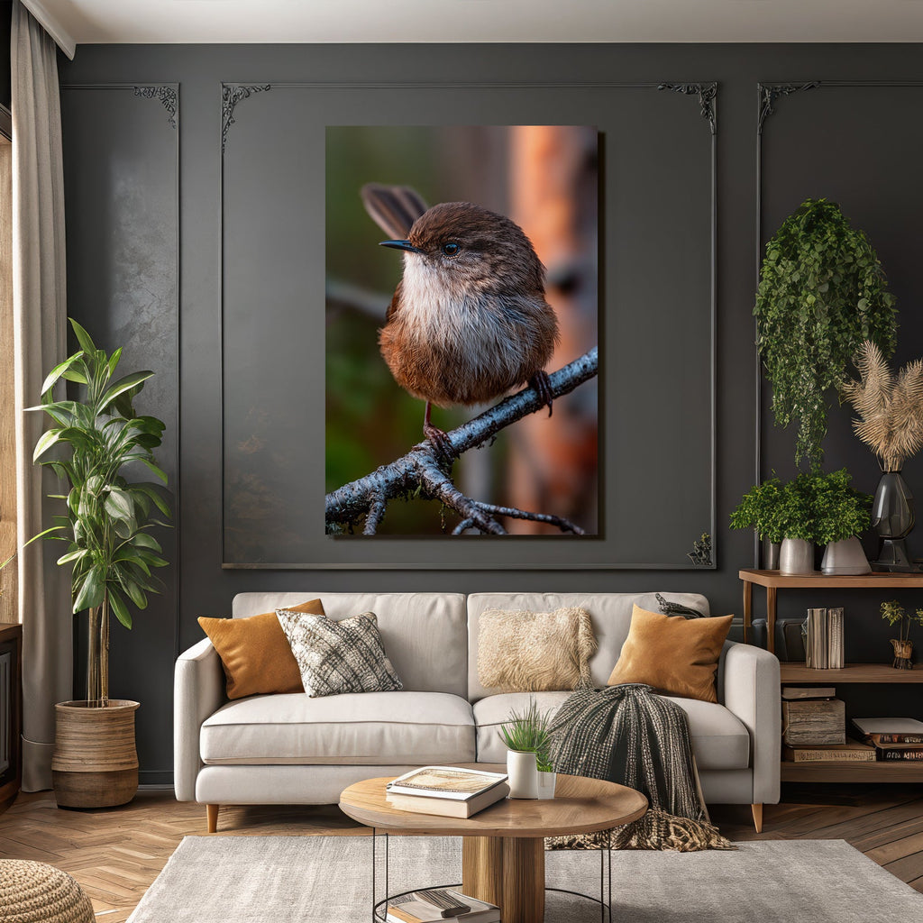 Kleiner Vogel Auf Einem Ast Mit Braun Und Weiss Federkleid