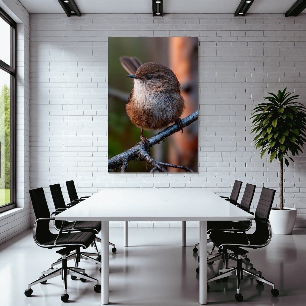 Kleiner Vogel Auf Einem Ast Mit Braun Und Weiss Federkleid