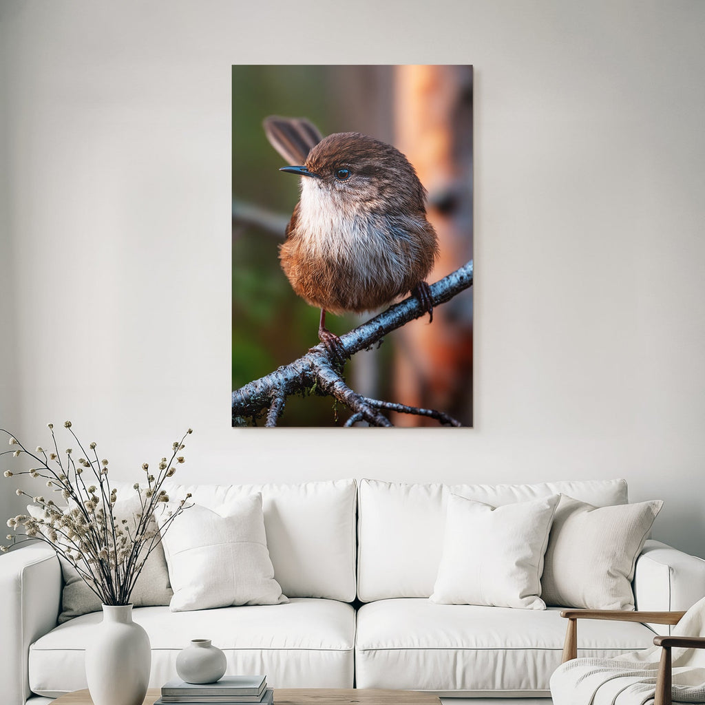 Kleiner Vogel Auf Einem Ast Mit Braun Und Weiss Federkleid