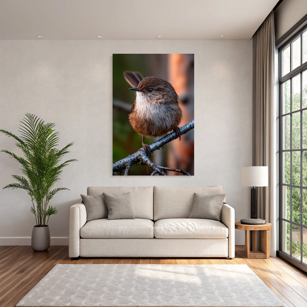 Kleiner Vogel Auf Einem Ast Mit Braun Und Weiss Federkleid