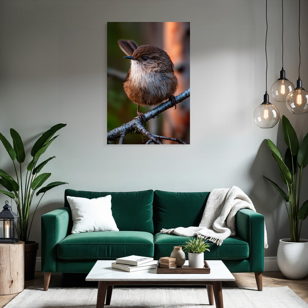 Kleiner Vogel Auf Einem Ast Mit Braun Und Weiss Federkleid
