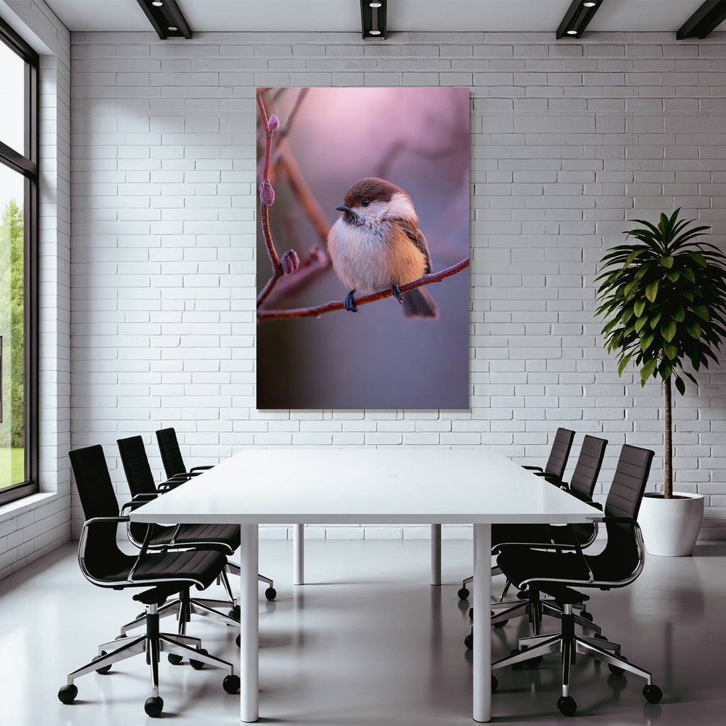 Kleiner Vogel Auf Einem Zweig Flauschig Und Kaltklimatisch Adaptiert