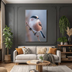 Longtailed Tit Auf Einem Ast Mit Frost Oder Tau