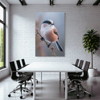 Longtailed Tit Auf Einem Ast Mit Frost Oder Tau