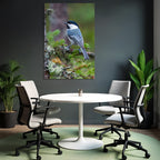 Vogel Auf Ast Black Cap White Throat Bluish Gray Body Natürliches Habitat