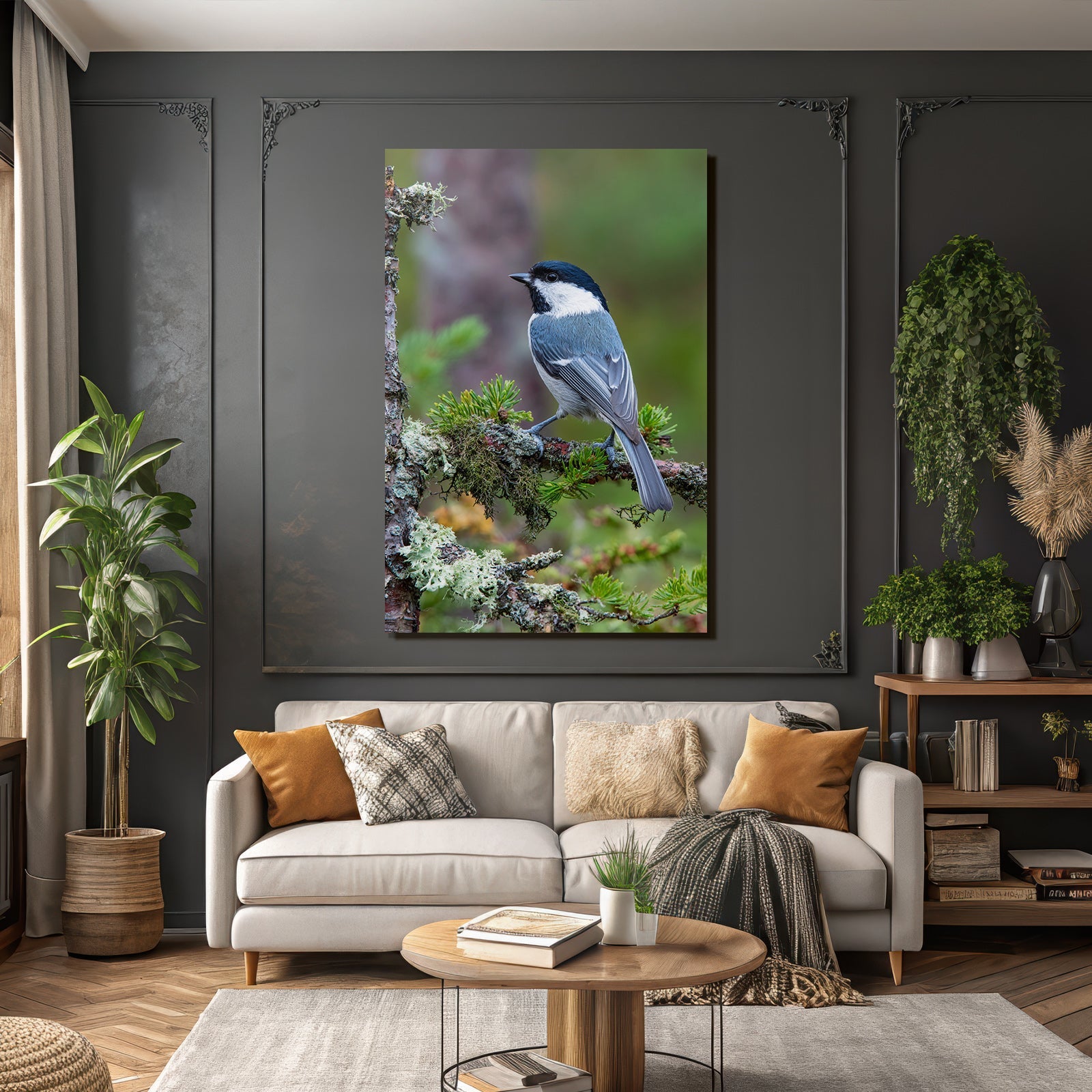 Vogel Auf Ast Black Cap White Throat Bluish Gray Body Natürliches Habitat