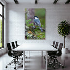 Vogel Auf Ast Black Cap White Throat Bluish Gray Body Natürliches Habitat