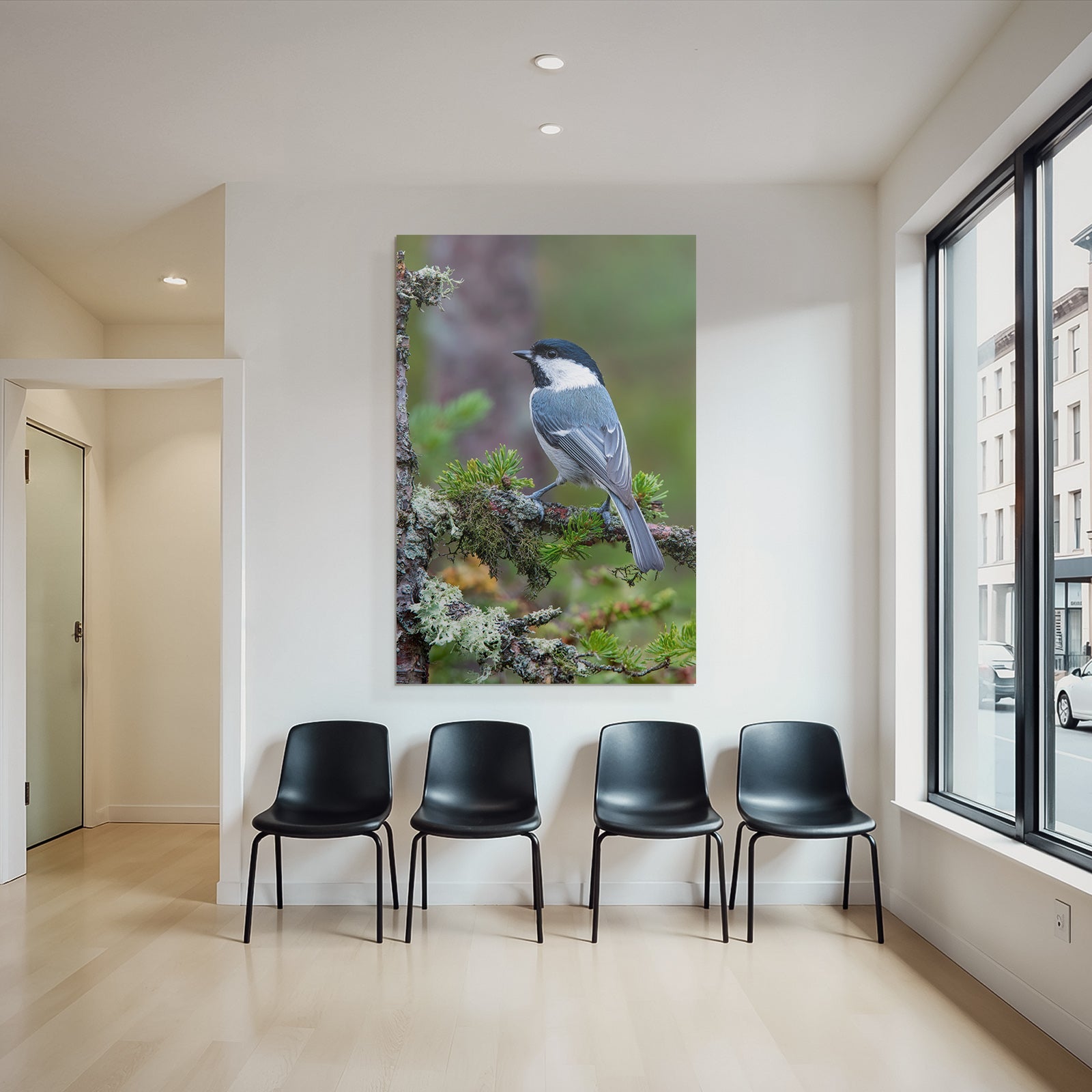 Vogel Auf Ast Black Cap White Throat Bluish Gray Body Natürliches Habitat