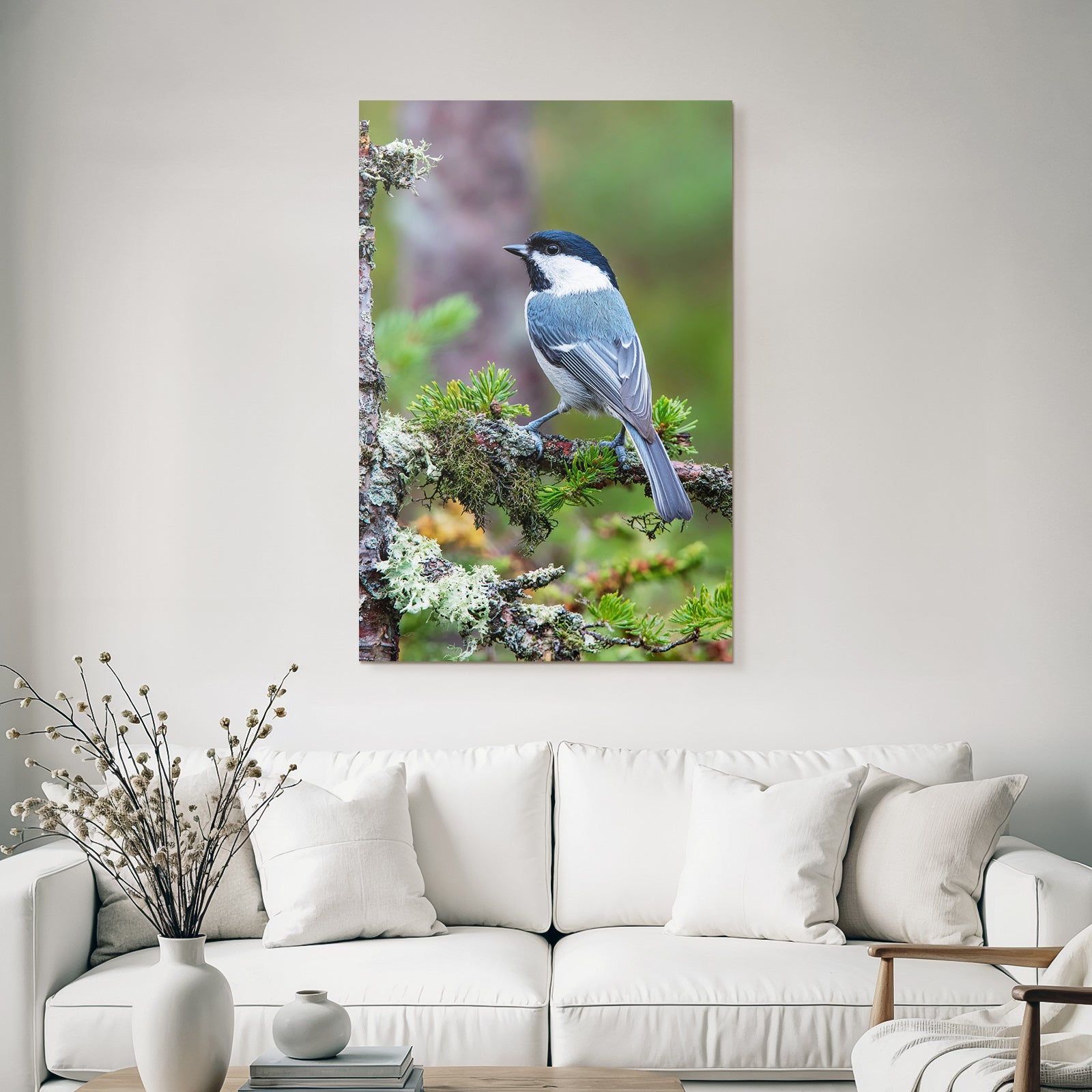 Vogel Auf Ast Black Cap White Throat Bluish Gray Body Natürliches Habitat