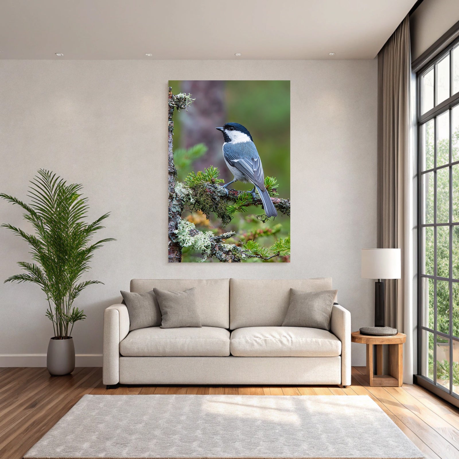 Vogel Auf Ast Black Cap White Throat Bluish Gray Body Natürliches Habitat