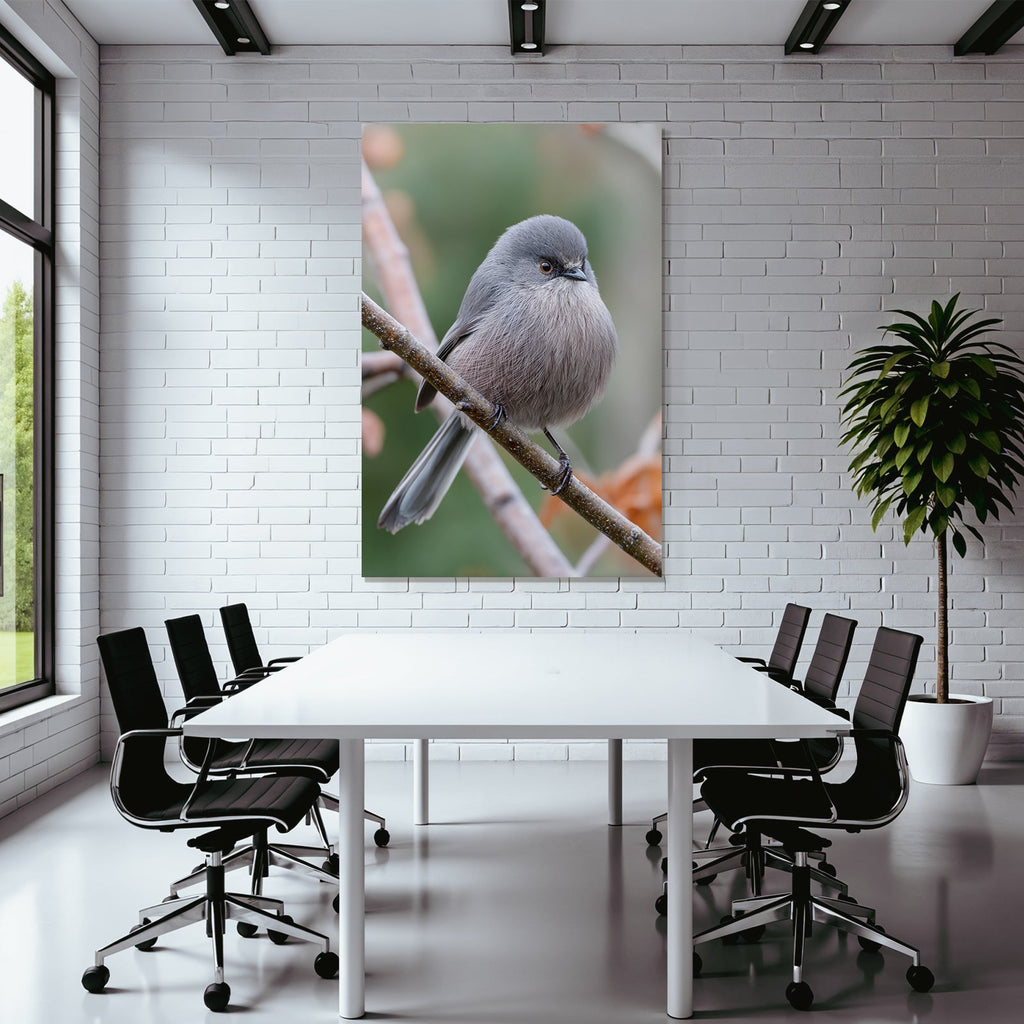 Vogel Auf Einem Ast Graufederiges Gefieder Sanft Unscharf Hintergrund