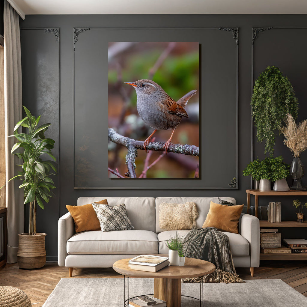 Vogel Auf Einem Ast Mit Orangenem Schnabel Grau Braun