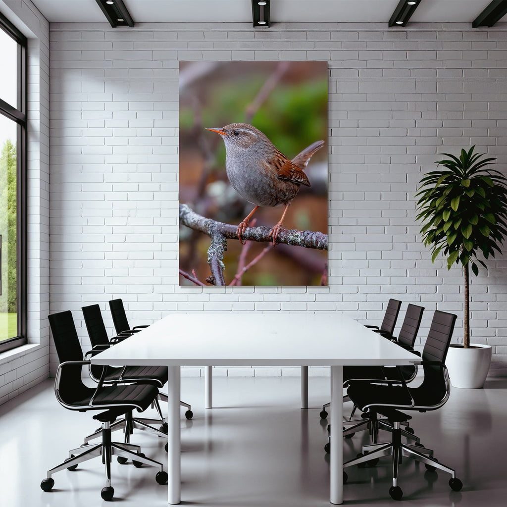 Vogel Auf Einem Ast Mit Orangenem Schnabel Grau Braun