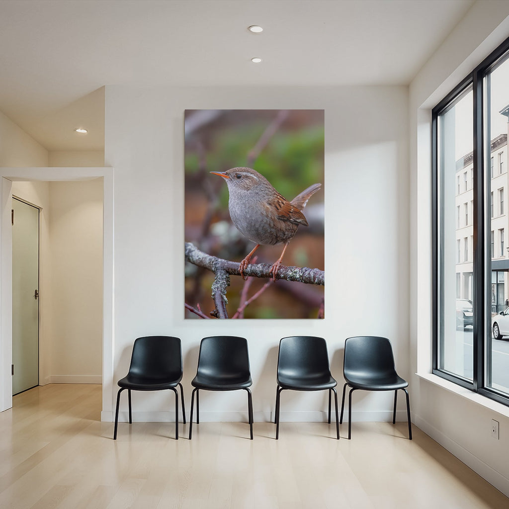 Vogel Auf Einem Ast Mit Orangenem Schnabel Grau Braun