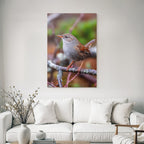 Vogel Auf Einem Ast Mit Orangenem Schnabel Grau Braun