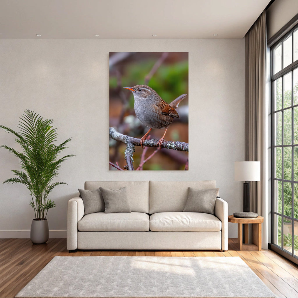 Vogel Auf Einem Ast Mit Orangenem Schnabel Grau Braun