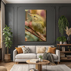 Vogel Naheaufnahme Bunte Feder Details