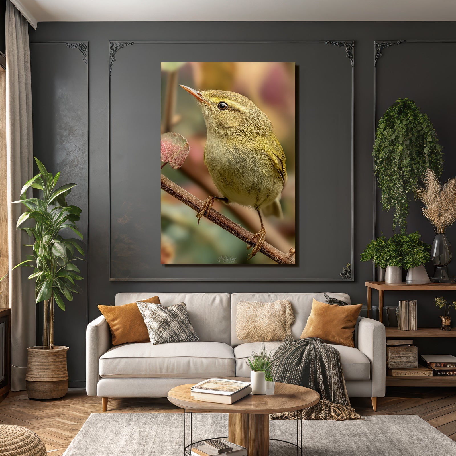 Vogel Naheaufnahme Bunte Feder Details