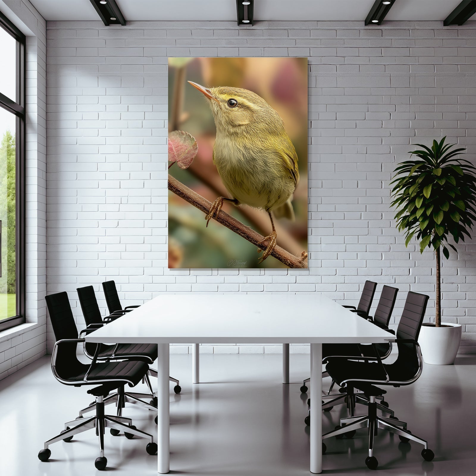 Vogel Naheaufnahme Bunte Feder Details