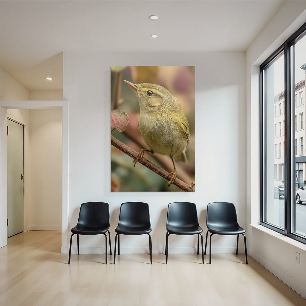 Vogel Naheaufnahme Bunte Feder Details