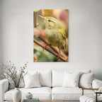 Vogel Naheaufnahme Bunte Feder Details